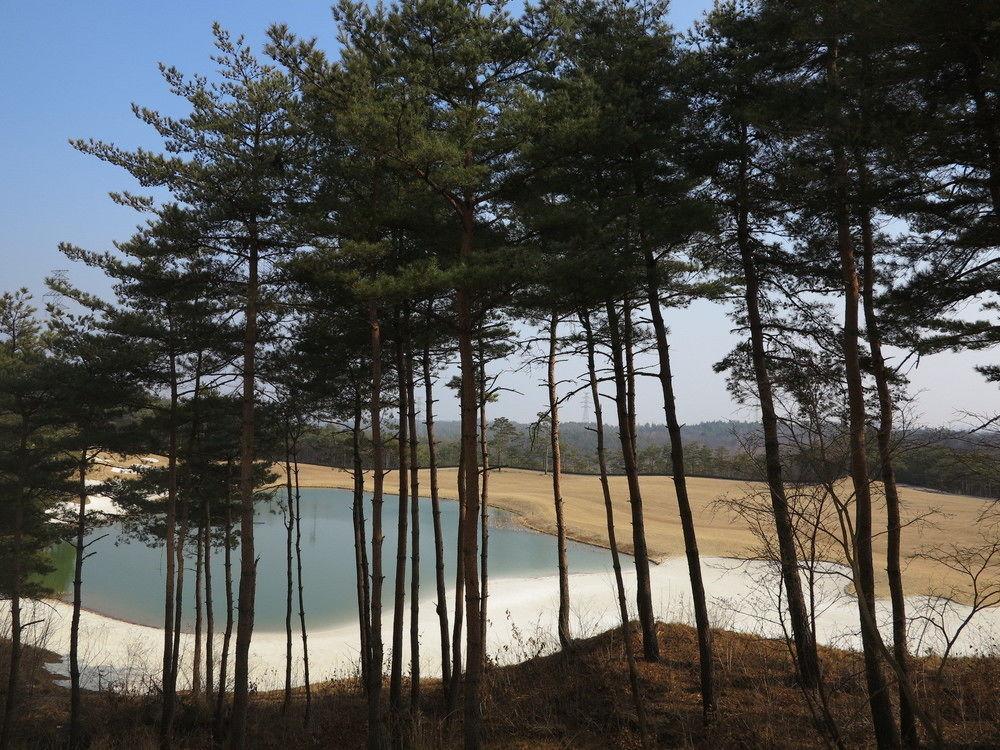 Pineridge Hotel Sokcho Exterior photo