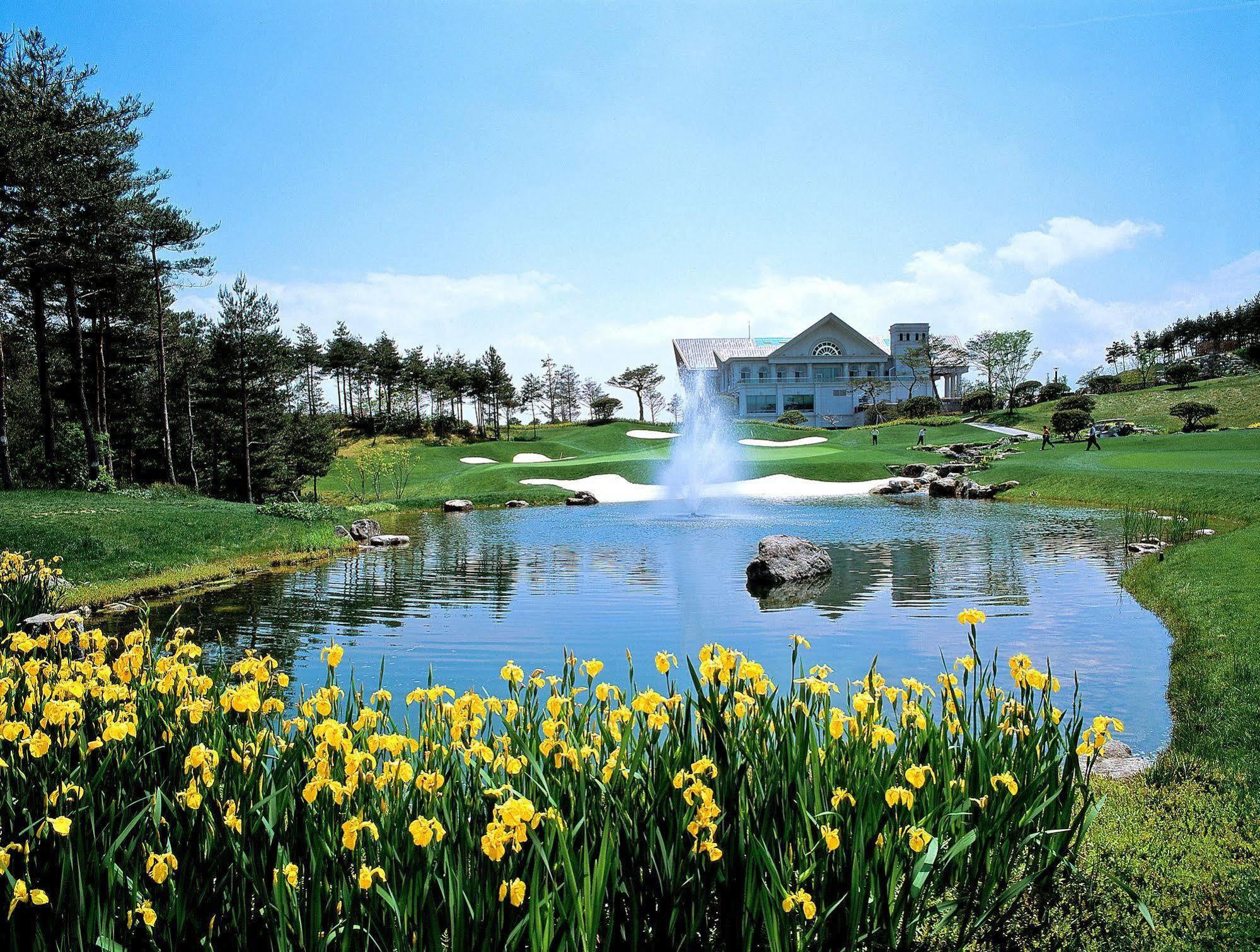 Pineridge Hotel Sokcho Exterior photo